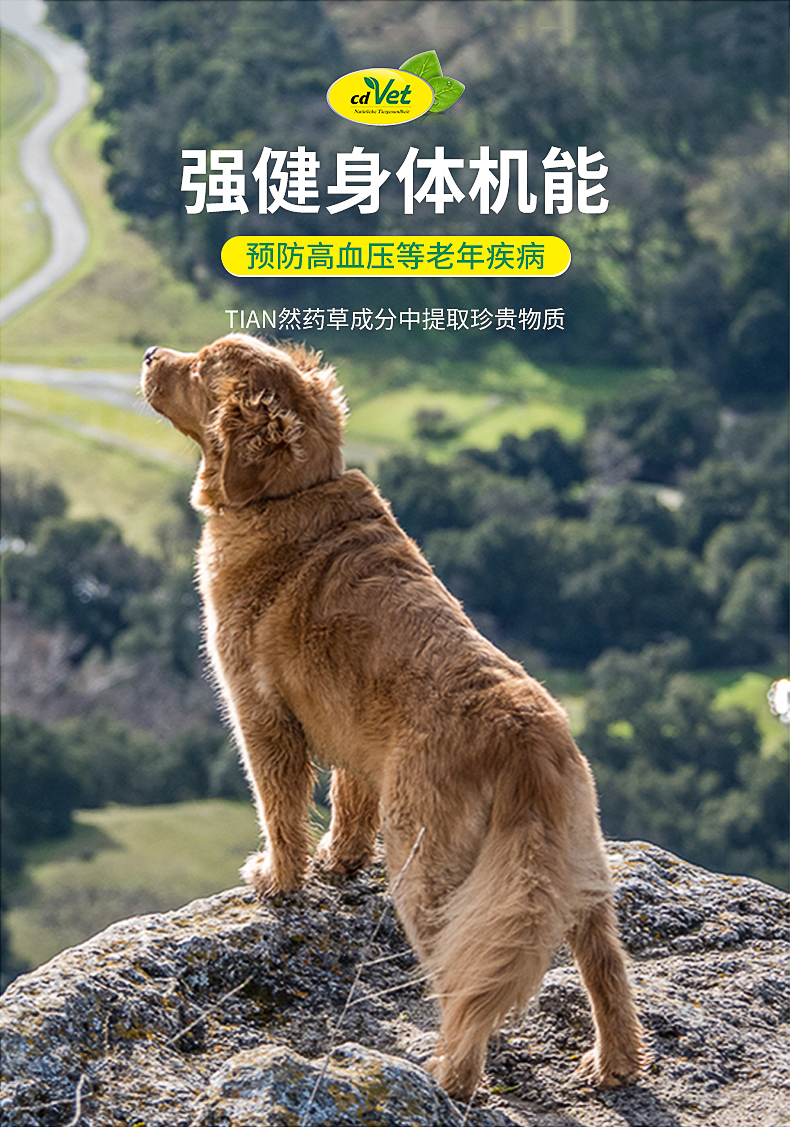 高齡犬營養(yǎng)粉_09.jpg